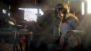 FARCRY 4 PS4